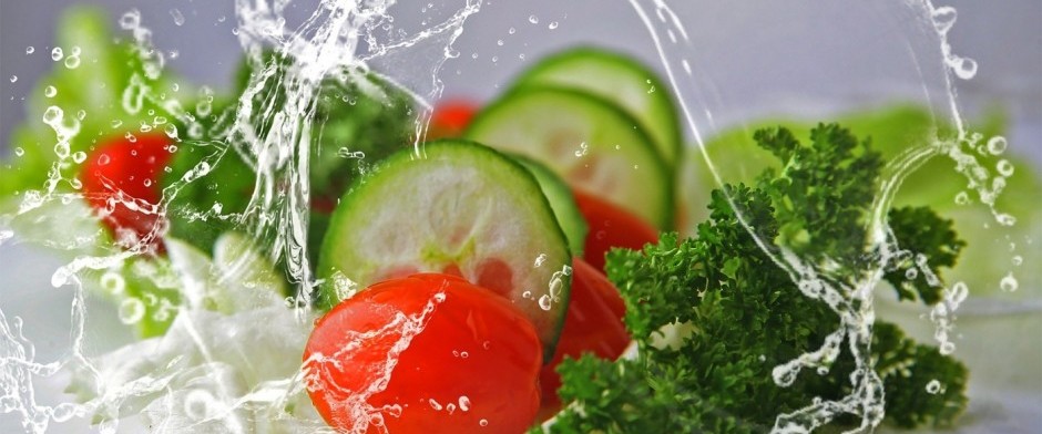 Curso nutrición Básico