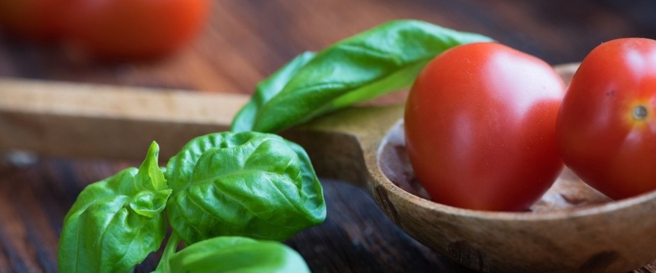 Gu&iacute;a de Salud